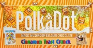 POLKA DOT MUSHROOM Cinanmon Toast Crunch